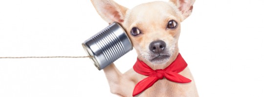 5 Great Sources of Product Feedback